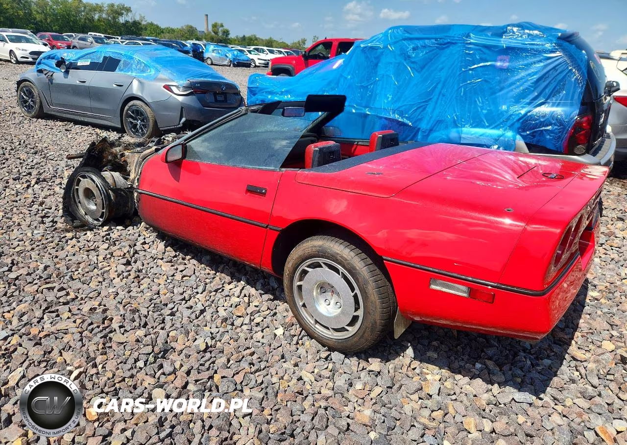1986 Chevrolet Corvette VIN:1G1YY6786G5906184 - 2