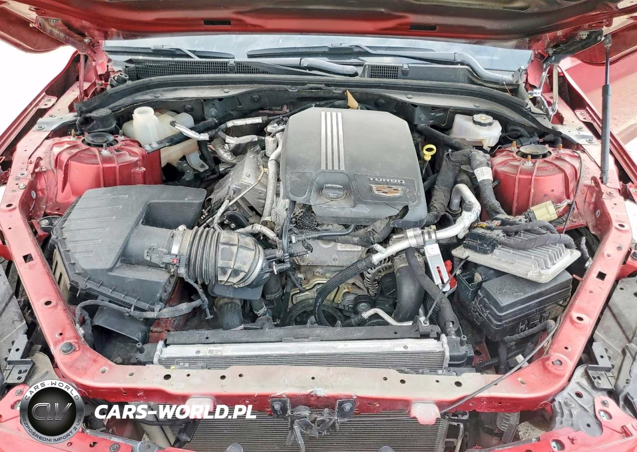 2023 Cadillac Ct5 Luxury VIN:1G6DW5RK9P0117106 - 11