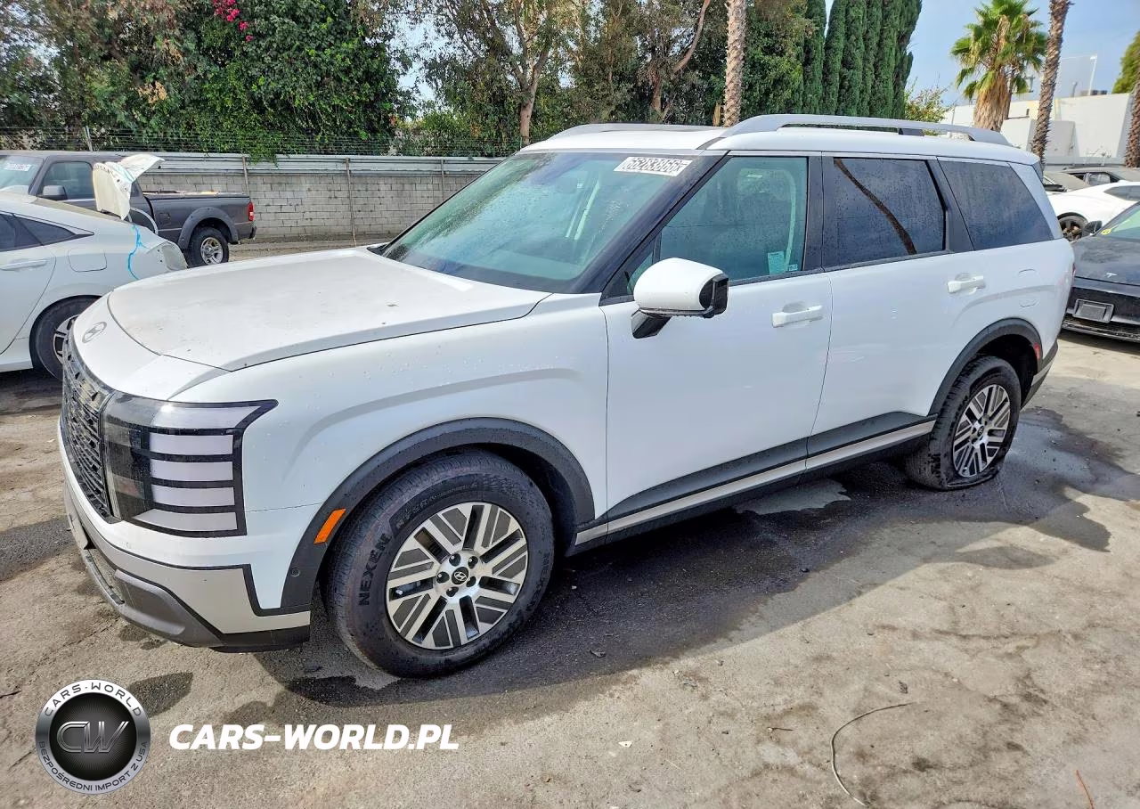 2026 Hyundai Palisade Blue Sel Premium VIN:KM8RH5SA8TU037955 - 1