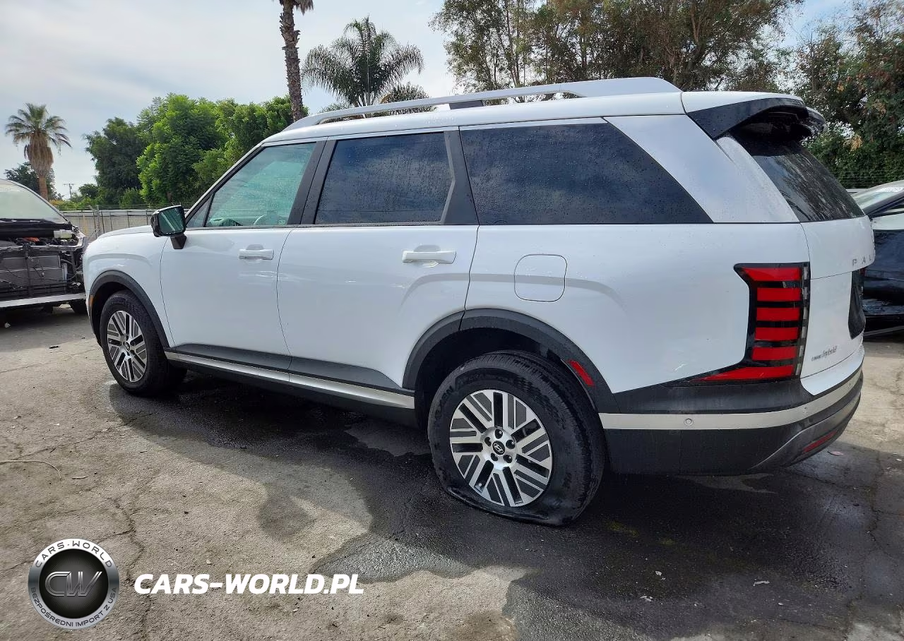2026 Hyundai Palisade Blue Sel Premium VIN:KM8RH5SA8TU037955 - 2