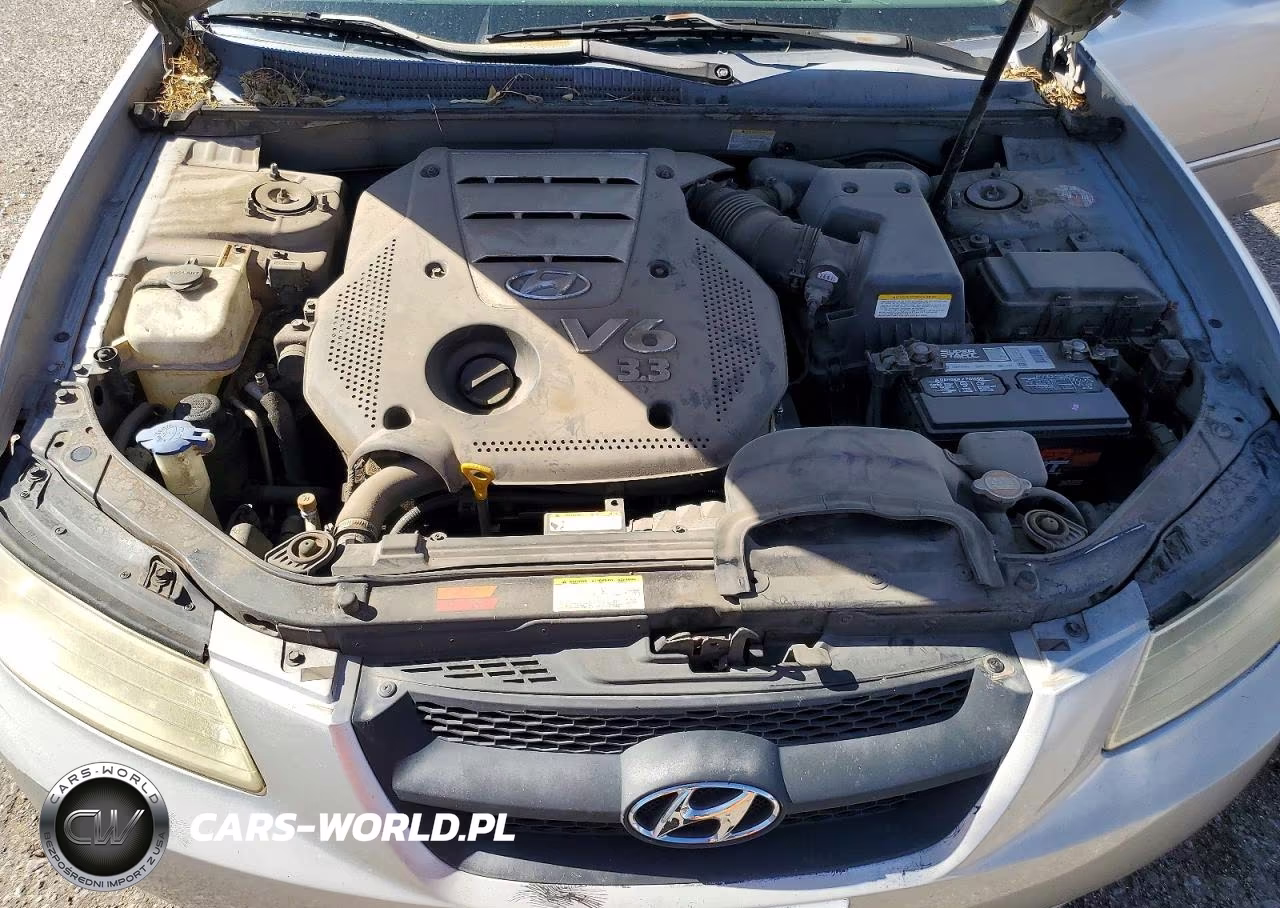 2007 Hyundai Sonata Se VIN:5NPEU46F47H165107 - 11