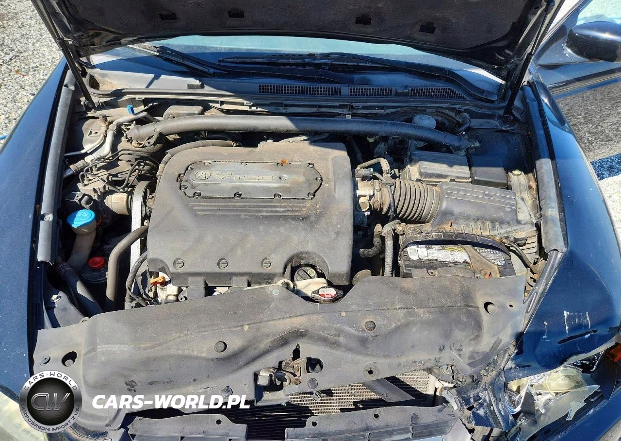 2005 Acura Tl VIN:19UUA66245A071022 - 11