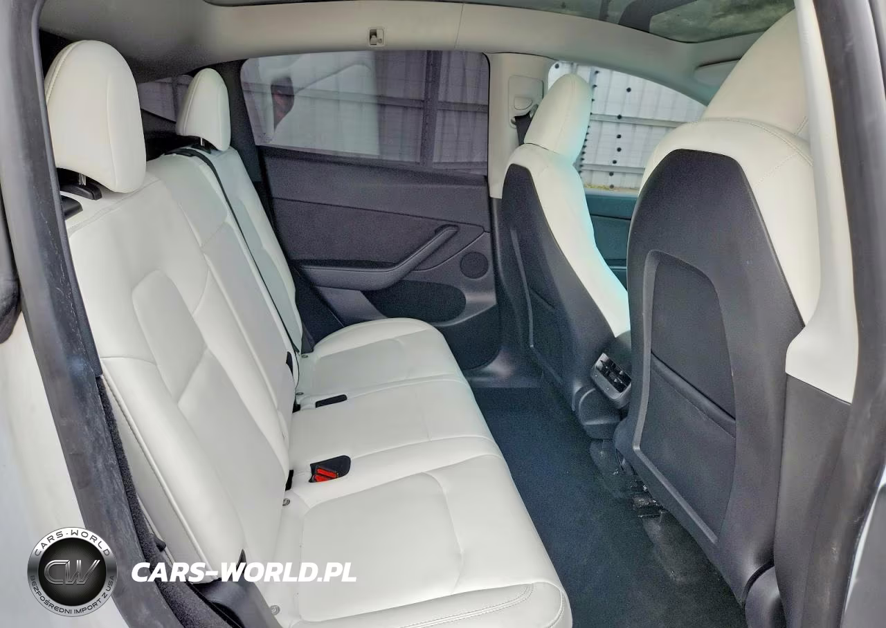 2023 Tesla Model Y VIN:7SAYGDEF8PF864716 - 10