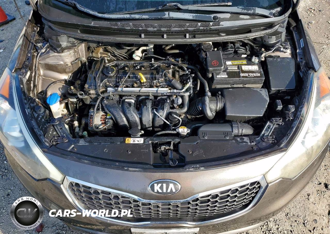 2014 Kia Forte Lx VIN:KNAFX4A60E5218026 - 11