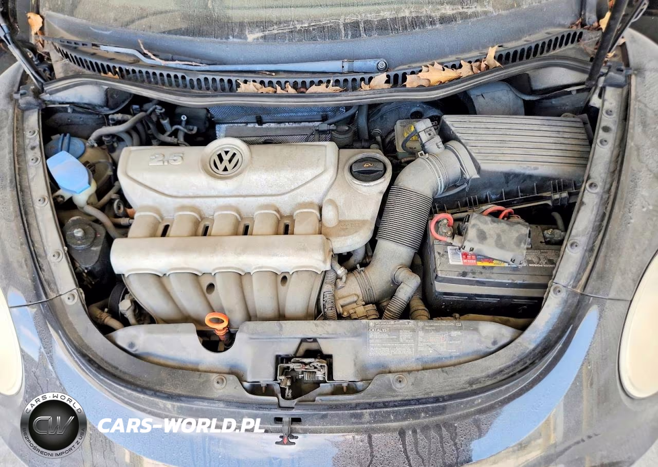 2006 Volkswagen New Beetle 2.5L VIN:3VWPW31C86M405811 - 11
