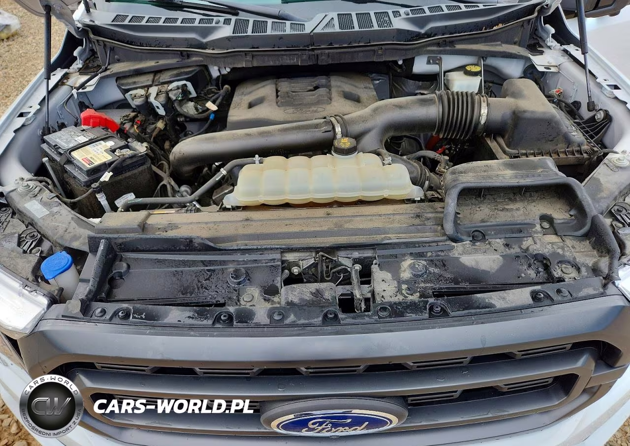 2021 Ford F150 Supercrew VIN:1FTFW1E85MFC34134 - 11