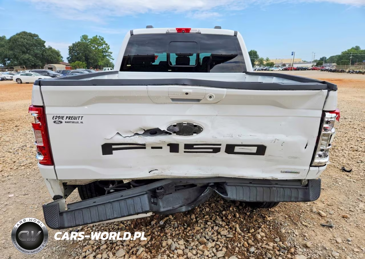 2021 Ford F150 Supercrew VIN:1FTFW1E85MFC34134 - 6