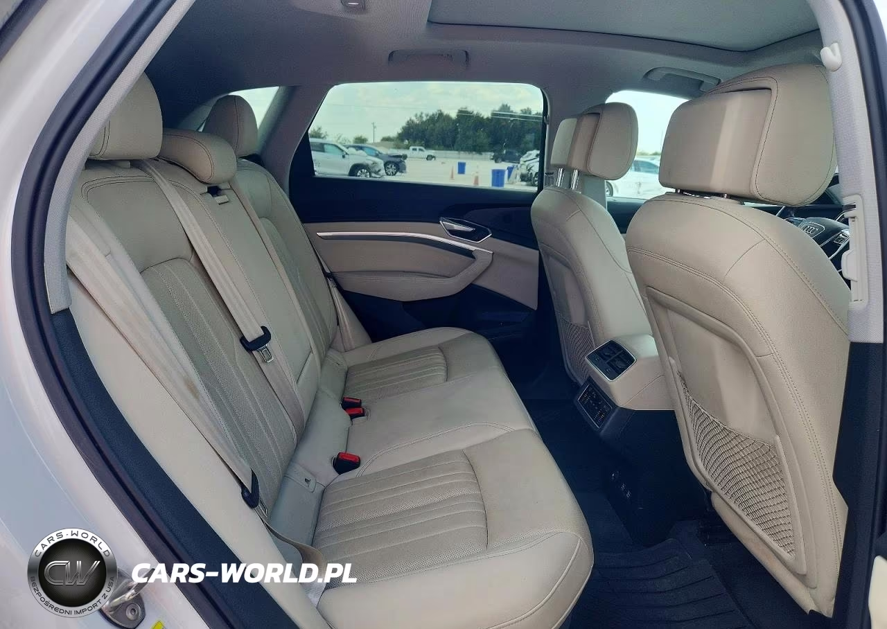 2019 Audi E-Tron Premium Plus VIN:WA1LAAGE6KB023639 - 10