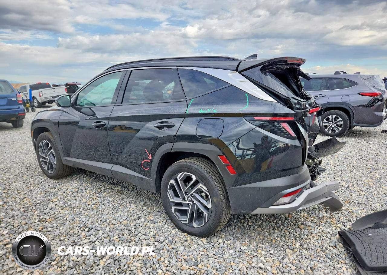 2025 Hyundai Tucson Limited VIN:KM8JEDD15SU273670 - 2