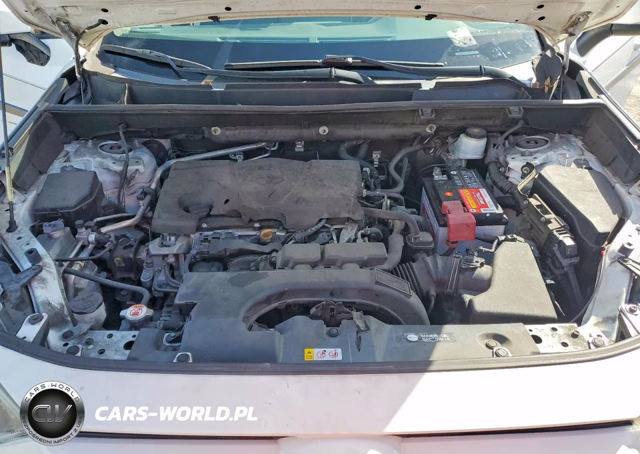 2019 Toyota Rav4 Xle VIN:2T3W1RFV6KC015231 - 12