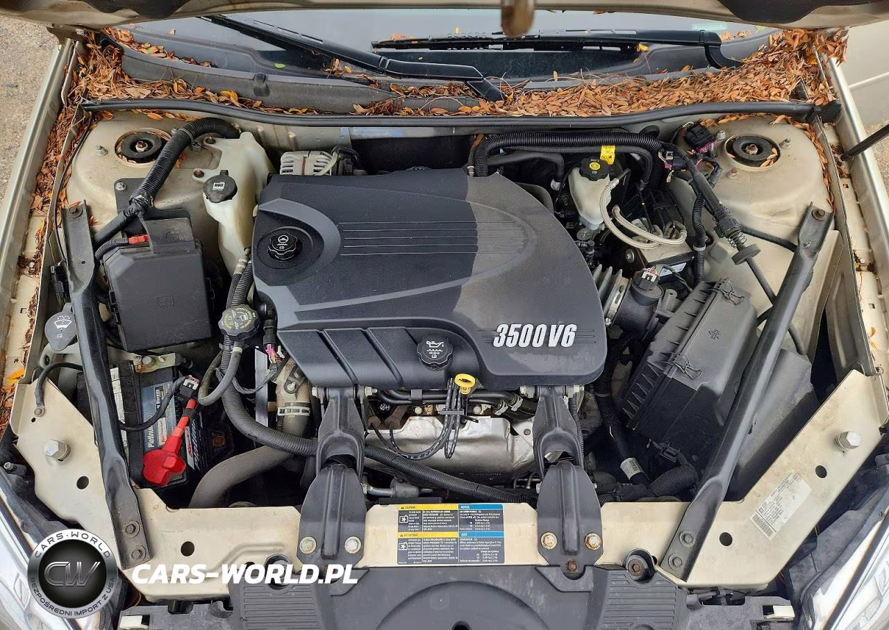 2009 Chevrolet Impala Ls VIN:2G1WB57K691253228 - 11