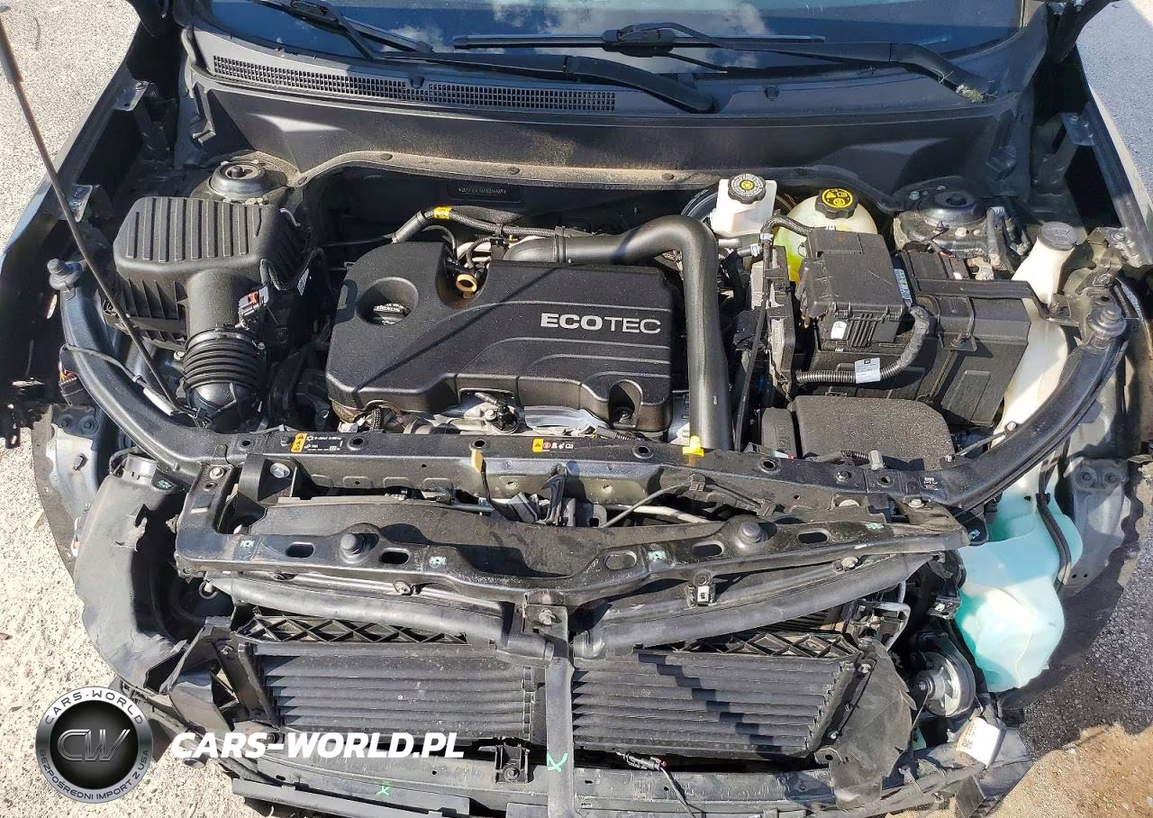 2019 Chevrolet Equinox Ls VIN:2GNAXHEV6K6255689 - 12