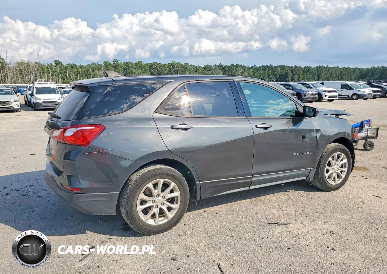2019 Chevrolet Equinox Ls VIN:2GNAXHEV6K6255689 - 3
