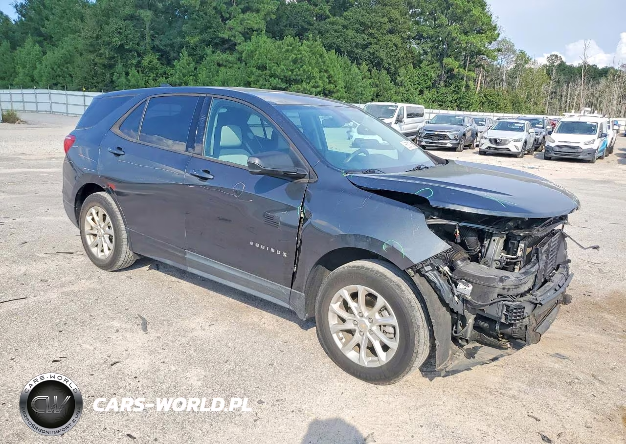 2019 Chevrolet Equinox Ls VIN:2GNAXHEV6K6255689 - 4