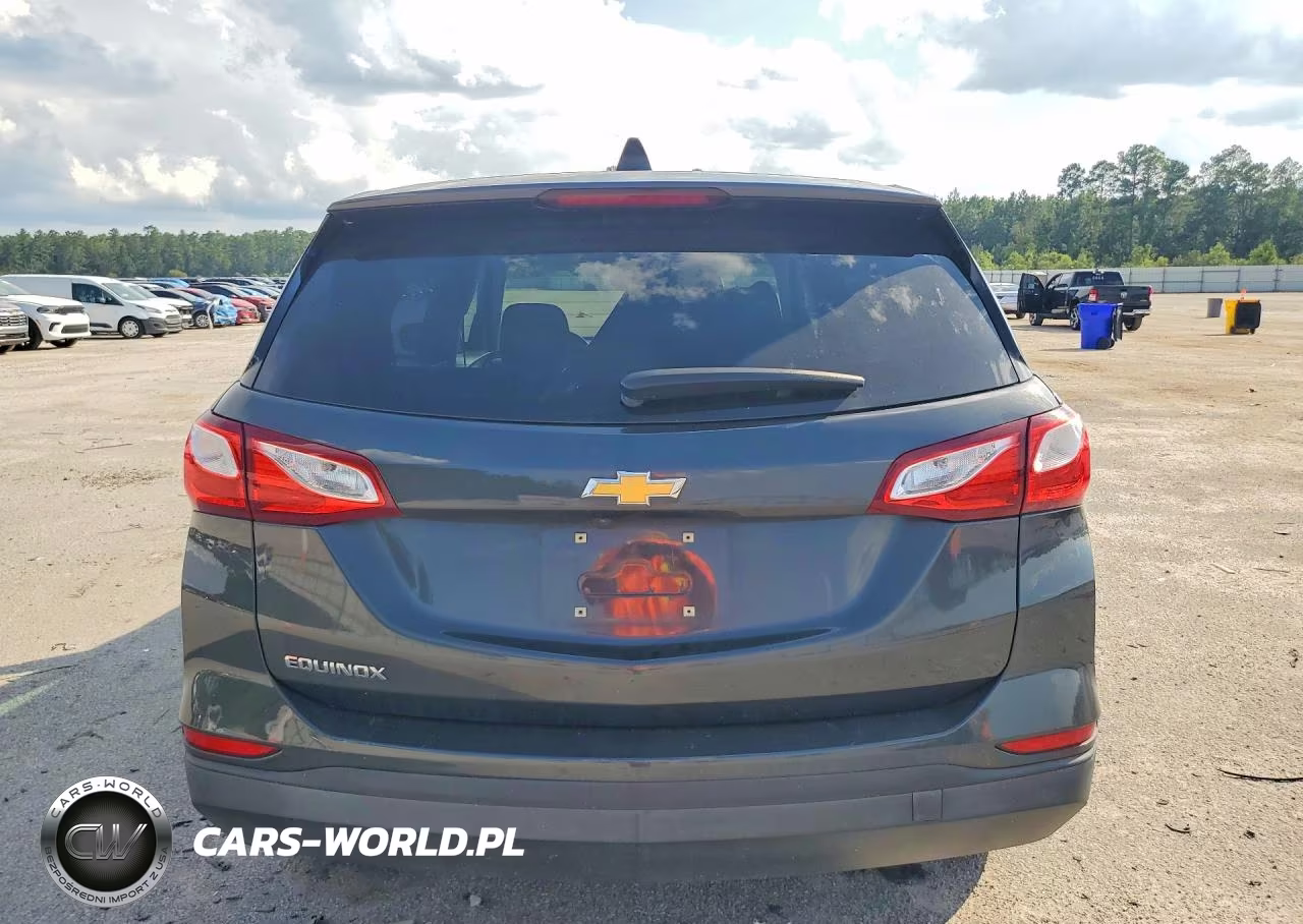 2019 Chevrolet Equinox Ls VIN:2GNAXHEV6K6255689 - 6