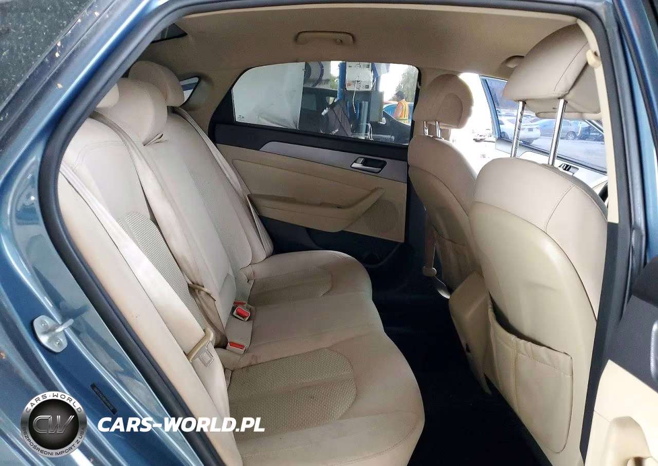 2015 Hyundai Sonata Eco VIN:5NPE24AA8FH144132 - 10