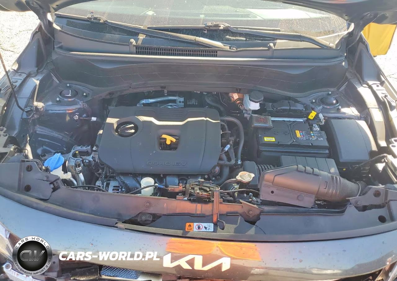 2024 Kia Seltos Ex VIN:KNDER2AA1R7501689 - 12