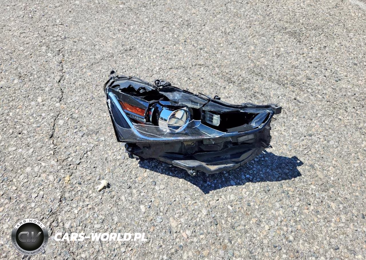2019 Lexus Is 300 VIN:JTHC81D23K5036020 - 12