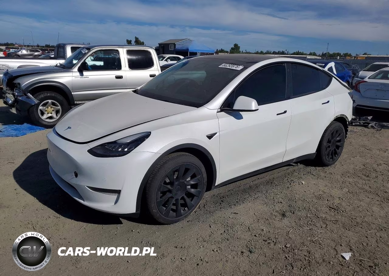 2023 Tesla Model Y VIN:7SAYGDEE6PF583781 - 1