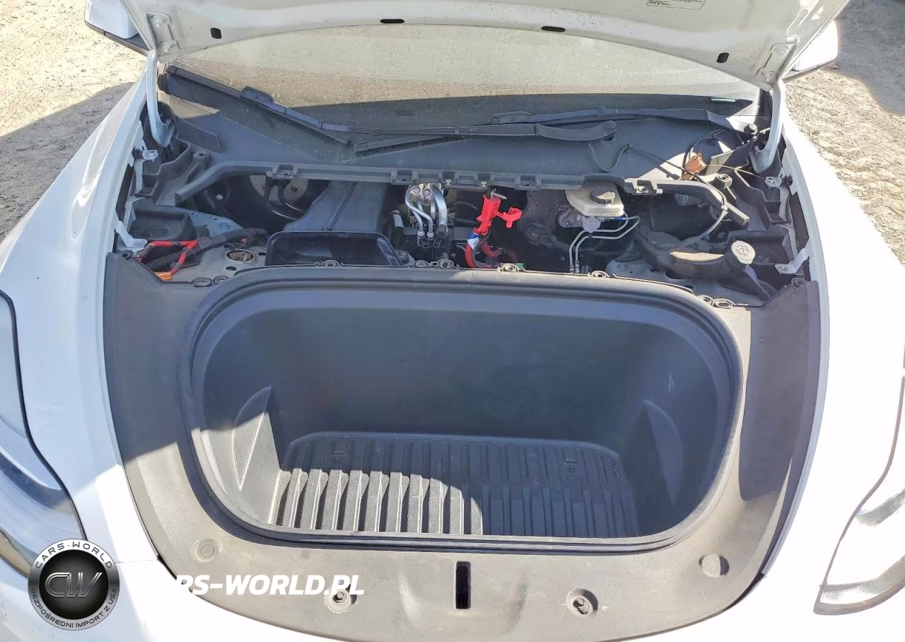 2023 Tesla Model Y VIN:7SAYGDEE6PF583781 - 11
