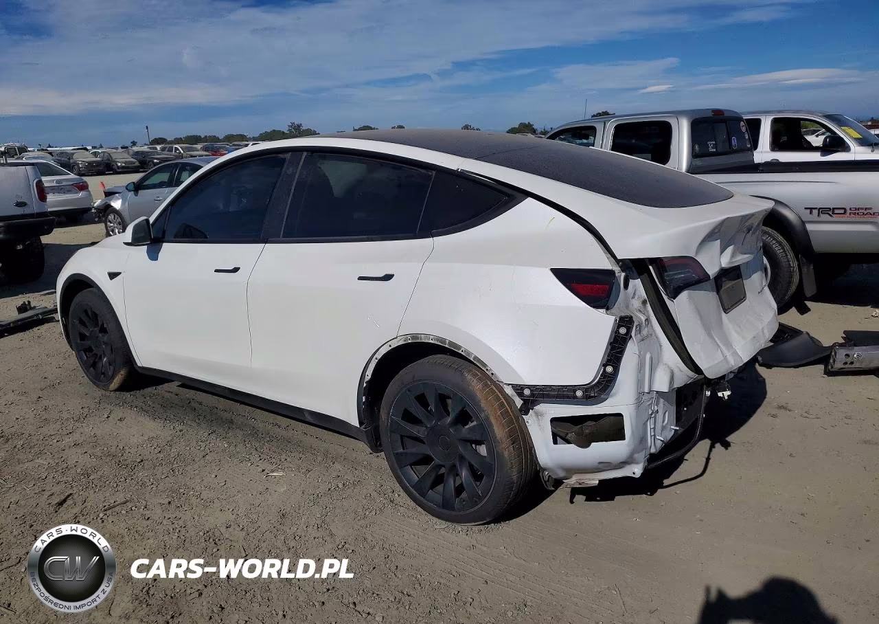 2023 Tesla Model Y VIN:7SAYGDEE6PF583781 - 2