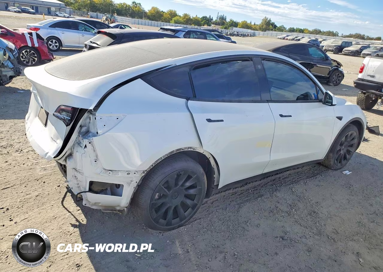 2023 Tesla Model Y VIN:7SAYGDEE6PF583781 - 3