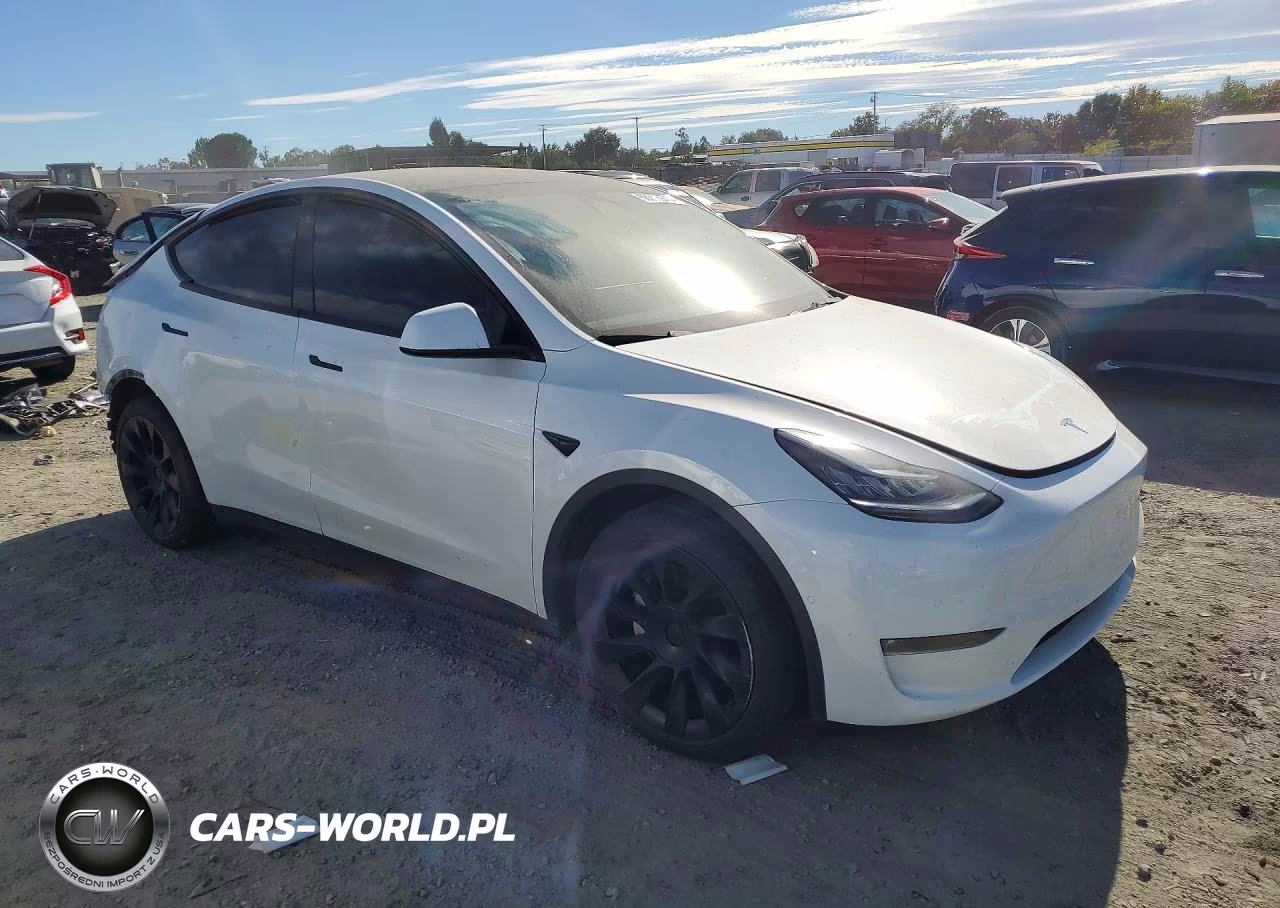2023 Tesla Model Y VIN:7SAYGDEE6PF583781 - 4