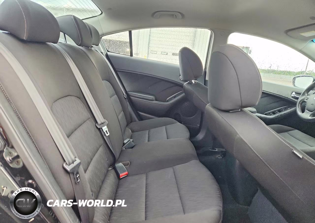 2016 Kia Forte Lx VIN:KNAFK4A64G5551850 - 10