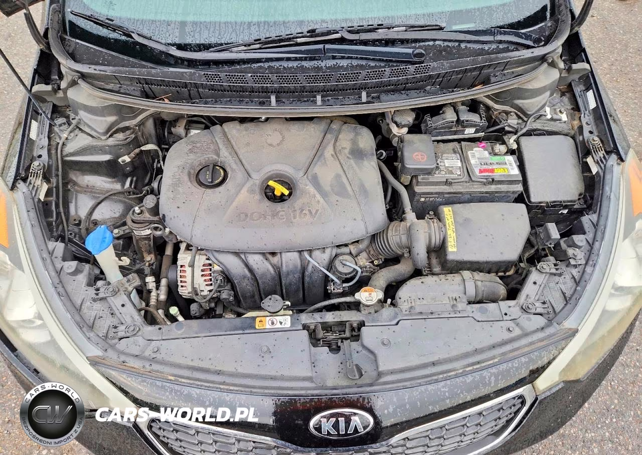 2016 Kia Forte Lx VIN:KNAFK4A64G5551850 - 11