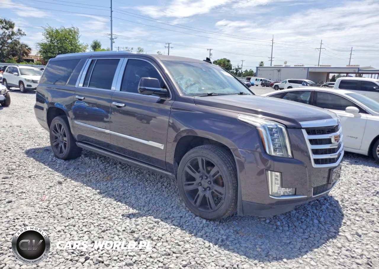 2016 Cadillac Escalade Esv Premium VIN:1GYS3JKJ4GR328470 - 4