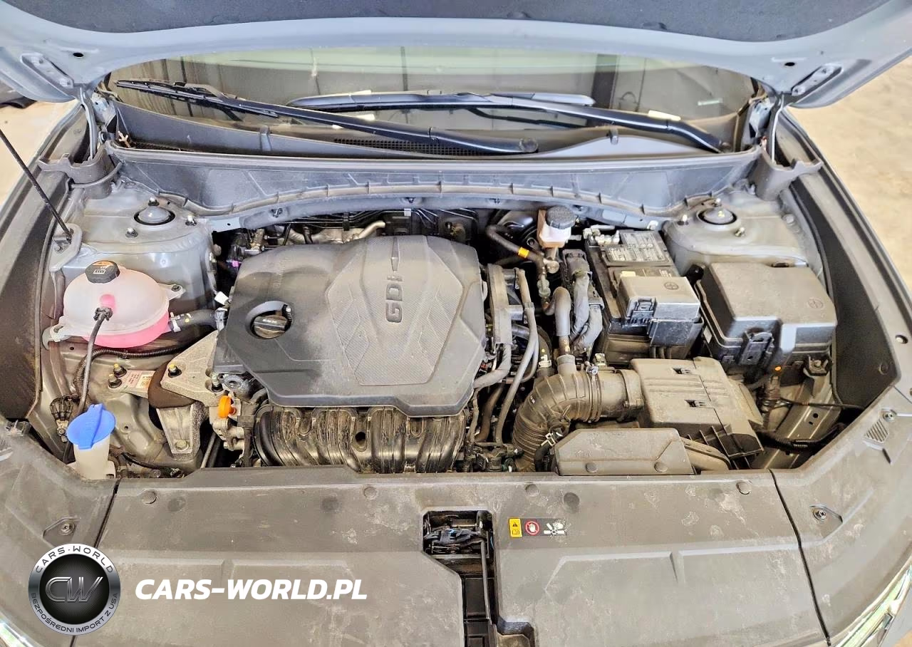 2024 Hyundai Tucson Limited VIN:5NMJECDE1RH377950 - 12