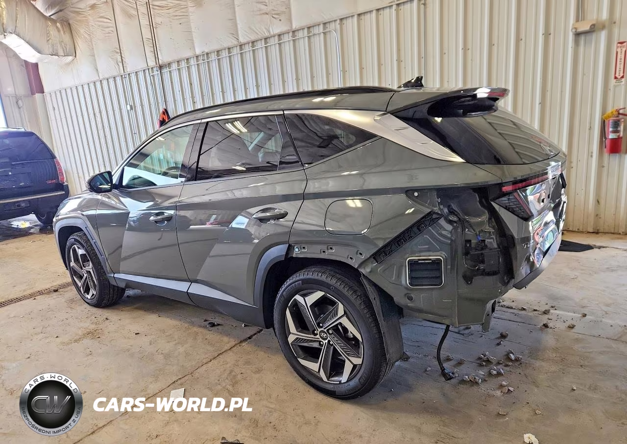 2024 Hyundai Tucson Limited VIN:5NMJECDE1RH377950 - 2