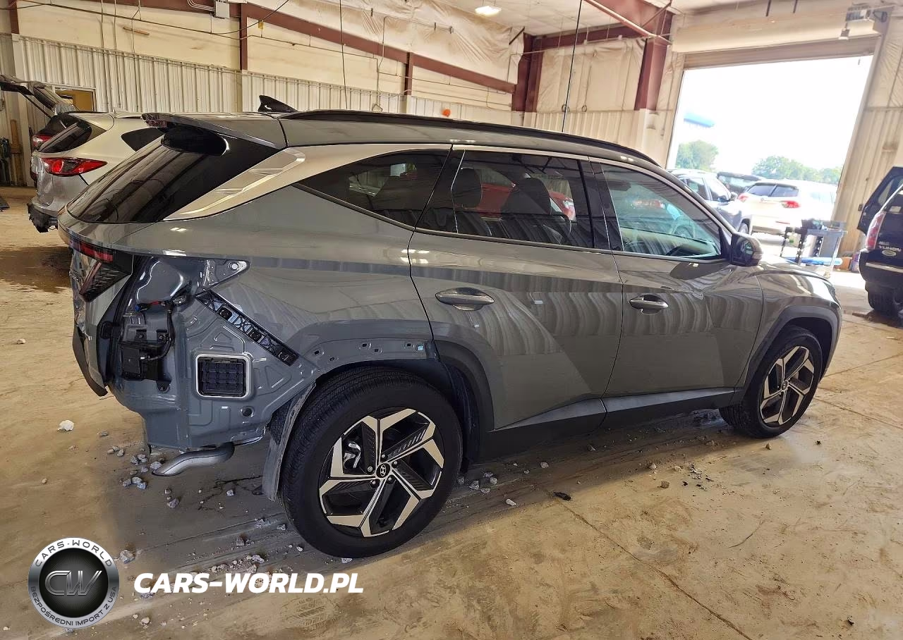 2024 Hyundai Tucson Limited VIN:5NMJECDE1RH377950 - 3