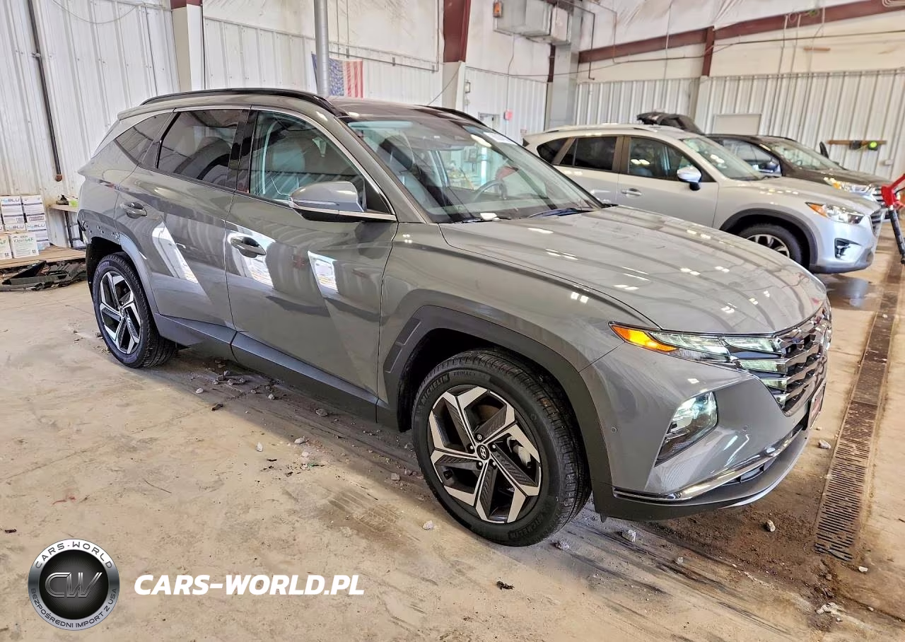 2024 Hyundai Tucson Limited VIN:5NMJECDE1RH377950 - 4