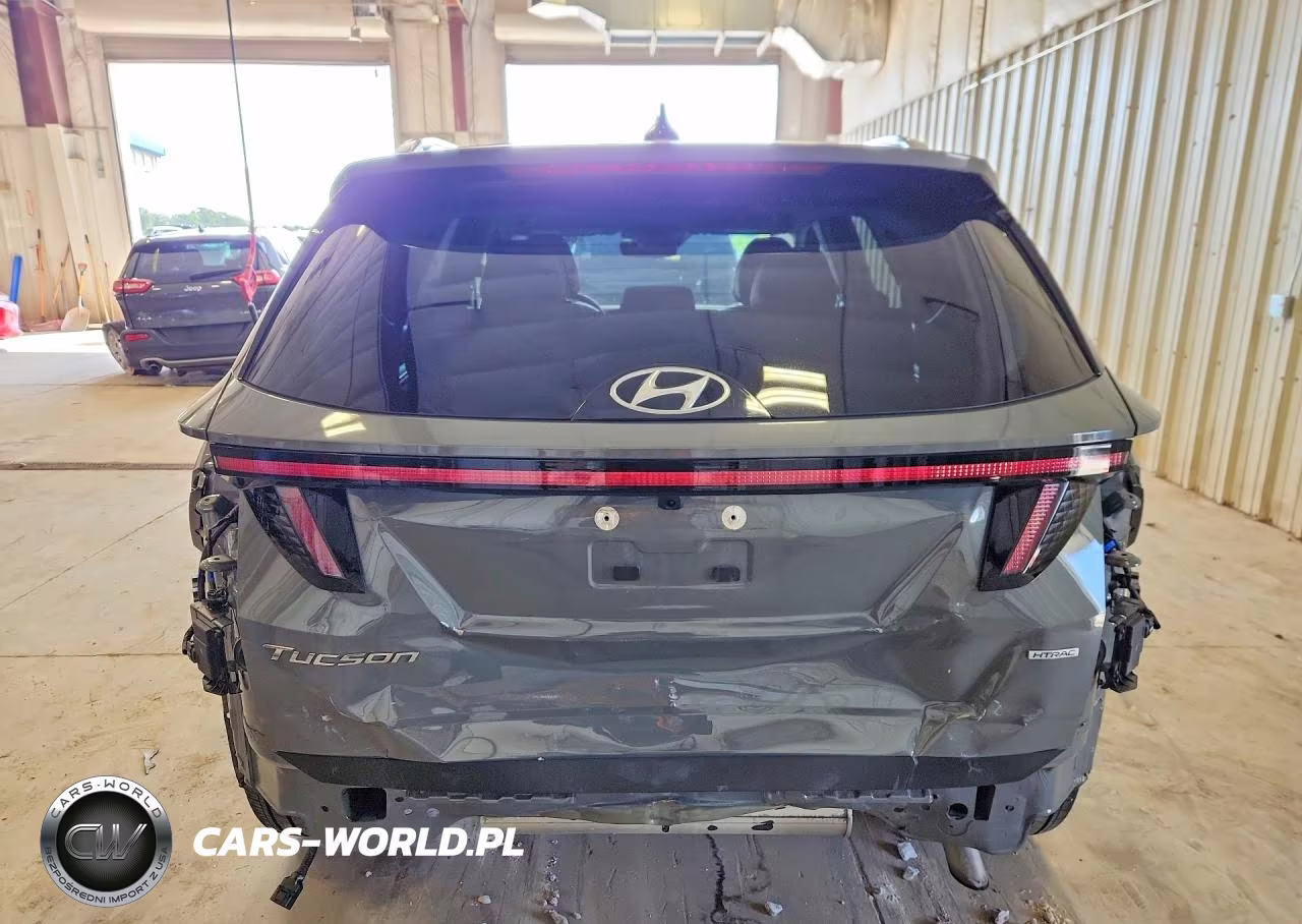 2024 Hyundai Tucson Limited VIN:5NMJECDE1RH377950 - 6