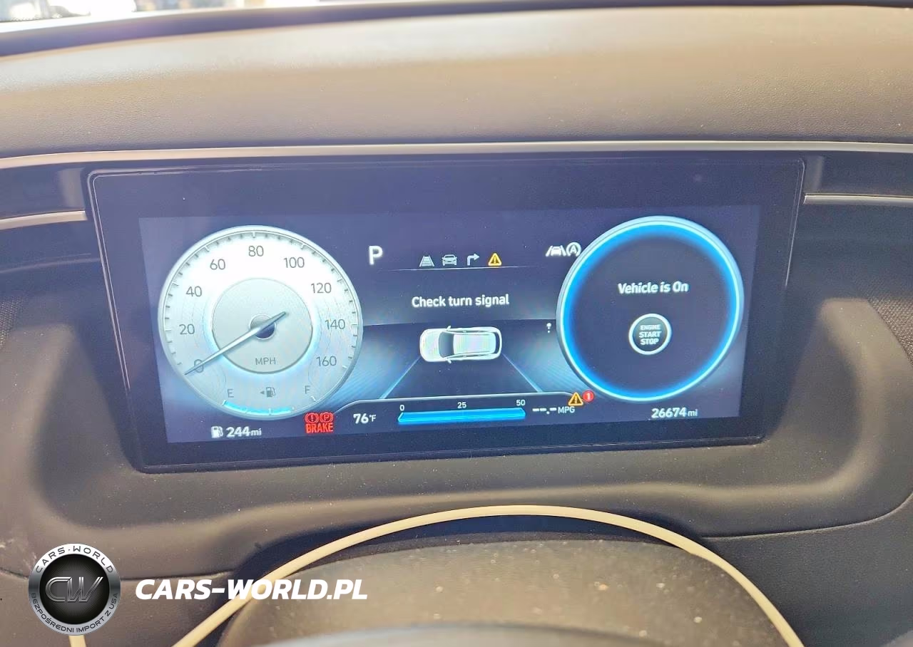 2024 Hyundai Tucson Limited VIN:5NMJECDE1RH377950 - 9