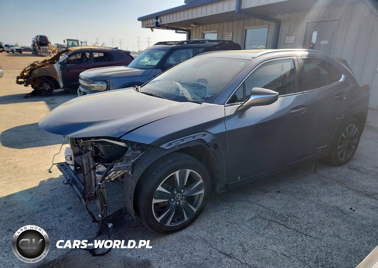 2019 Lexus Ux 250H
