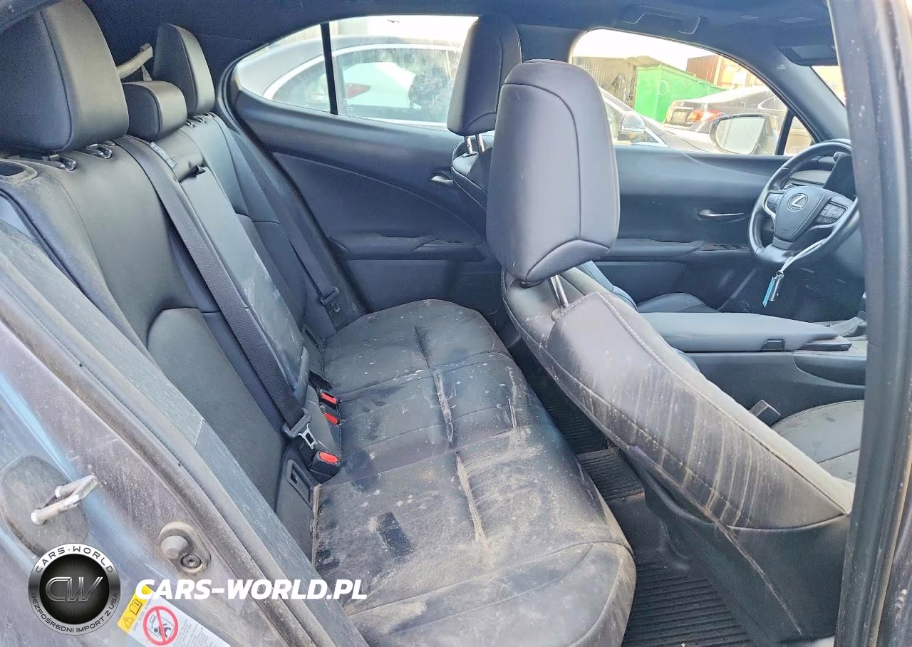 2019 Lexus Ux 250H VIN:JTHU9JBH4K2017521 - 10