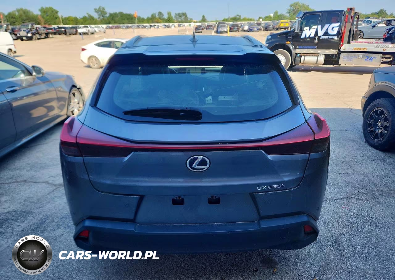 2019 Lexus Ux 250H VIN:JTHU9JBH4K2017521 - 6