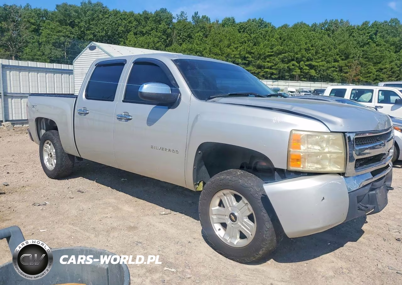 2010 Chevrolet Silverado K1500 Lt VIN:3GCRKSEA2AG170257 - 4
