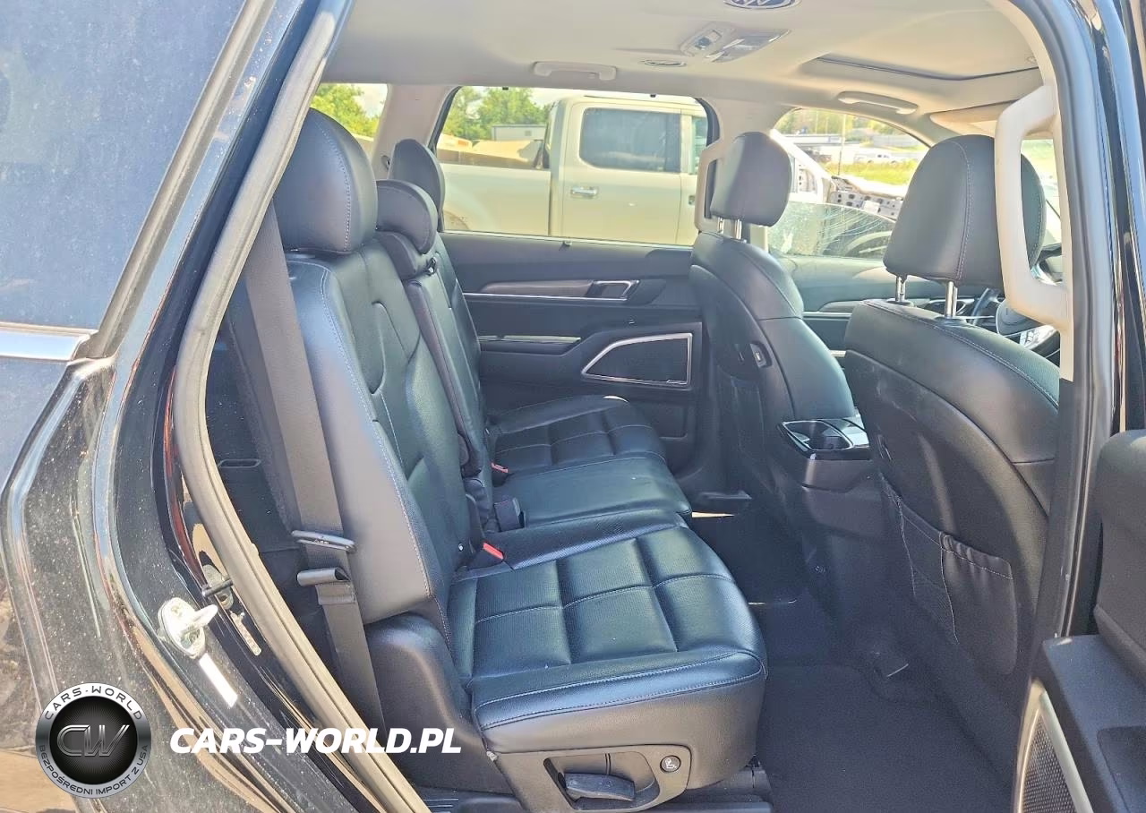2020 Kia Telluride Ex VIN:5XYP3DHC1LG076031 - 10