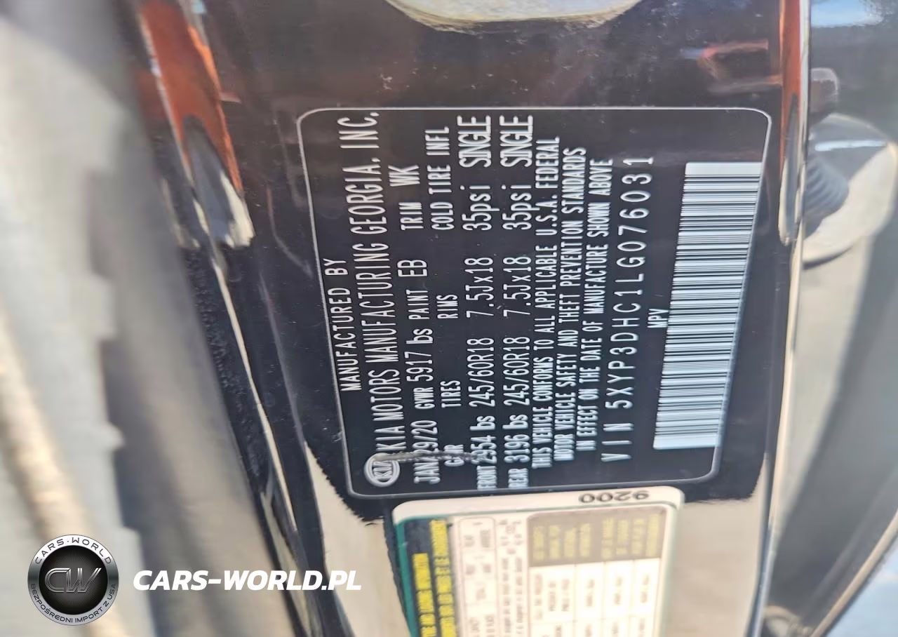 2020 Kia Telluride Ex VIN:5XYP3DHC1LG076031 - 12