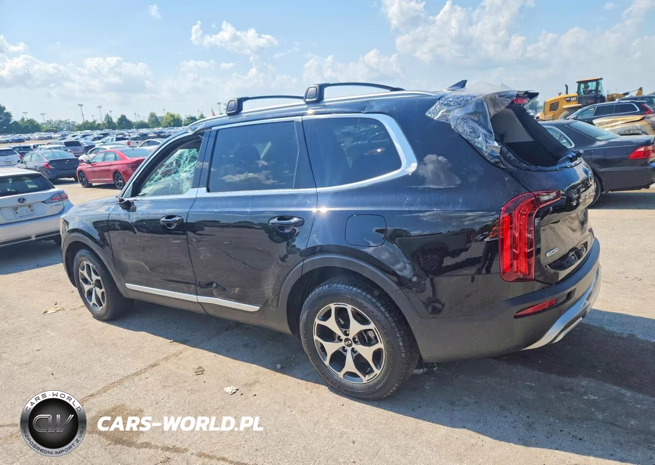 2020 Kia Telluride Ex VIN:5XYP3DHC1LG076031 - 2