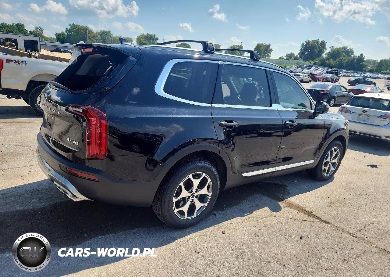 2020 Kia Telluride Ex VIN:5XYP3DHC1LG076031 - 3