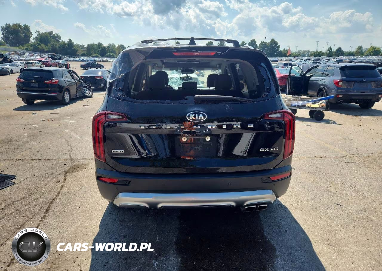 2020 Kia Telluride Ex VIN:5XYP3DHC1LG076031 - 6