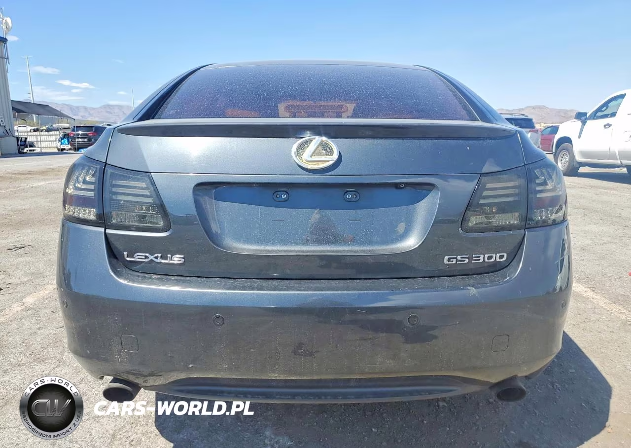 2006 Lexus Gs 300 VIN:JTHBH96S165024591 - 6