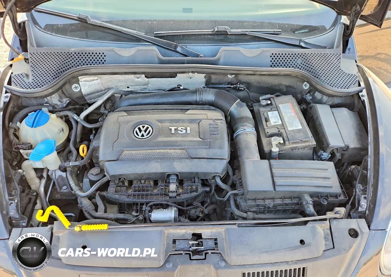 VOLKSWAGEN BEETLE VIN:3VWJ17AT9HM618202 - 11