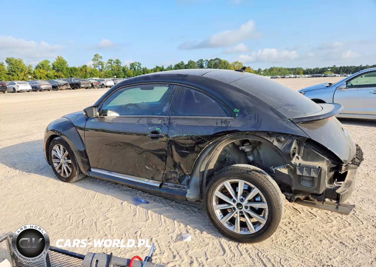 VOLKSWAGEN BEETLE VIN:3VWJ17AT9HM618202 - 2