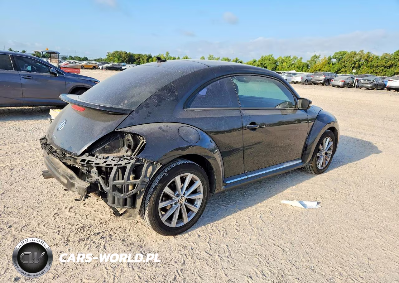 VOLKSWAGEN BEETLE VIN:3VWJ17AT9HM618202 - 3