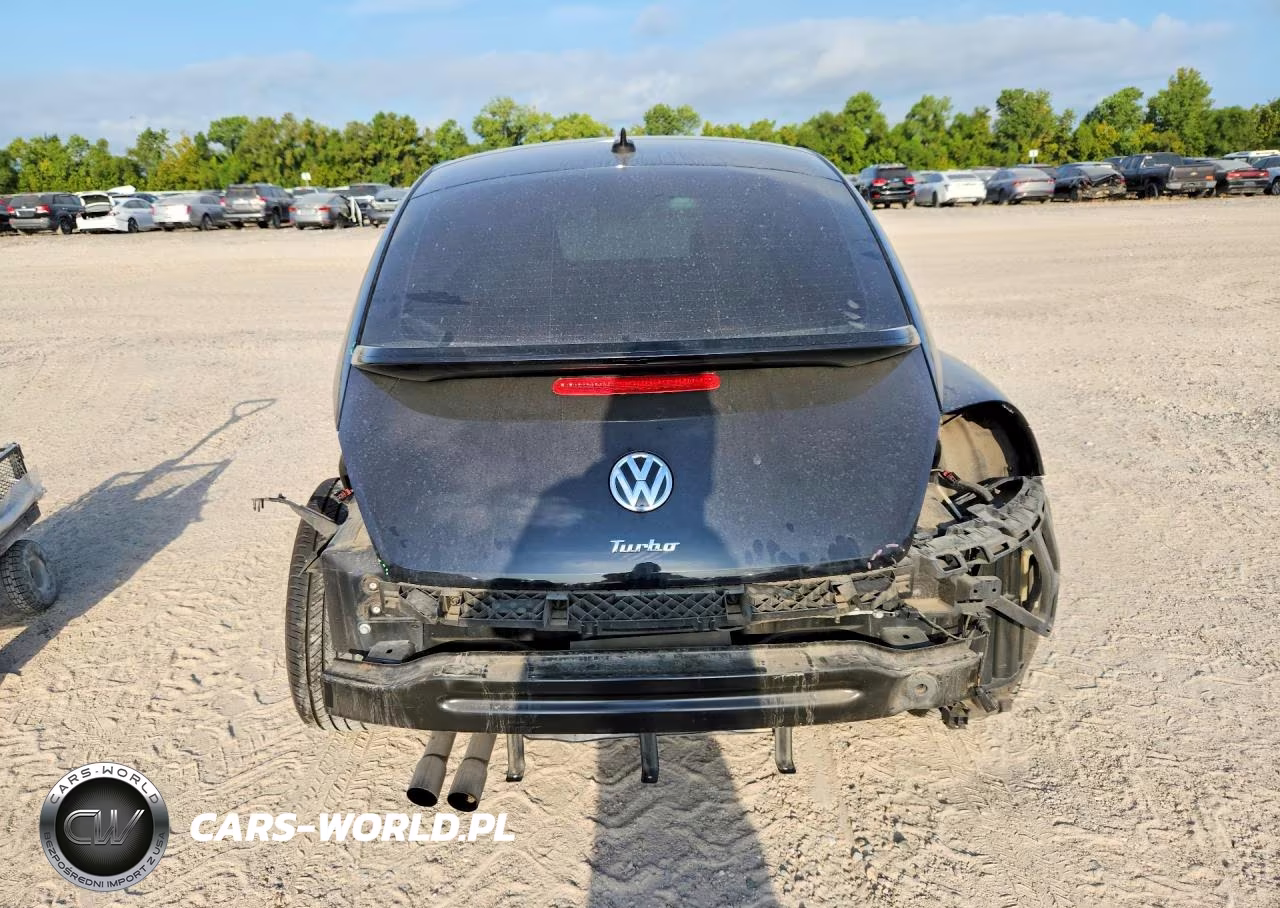 VOLKSWAGEN BEETLE VIN:3VWJ17AT9HM618202 - 6